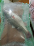 鮮活沖浪河鱸魚(yú)400-500g/條 曬單實(shí)拍圖