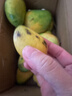 京喜加云南玉芒大青皮芒果新鮮應季水果 帶箱4斤單果200g+ 曬單實(shí)拍圖