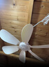 志高（CHIGO）小吊扇 小型電風(fēng)扇 小風(fēng)扇家用學(xué)生宿舍床上大風(fēng)力6頁(yè)蚊帳扇懸掛式微風(fēng)吊扇便攜小電扇 新升級-標配款6葉 曬單實(shí)拍圖
