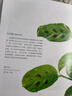 觀(guān)葉植物圖鑒：500種室內綠植養護指南 曬單實(shí)拍圖