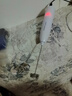 榮事達（Royalstar）電動(dòng)打奶泡器 咖啡奶泡機 家用牛奶打泡器 手持迷你攪拌打蛋器 曬單實(shí)拍圖