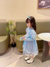 G.duck小黃鴨愛(ài)莎公主裙女童連衣裙秋裝2025新款兒童艾莎裙子女寶寶紗裙 藍色 110 建議4~5歲【100-110cm】cm 曬單實(shí)拍圖