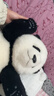 熊貓工廠(chǎng)官方5月齡萌蘭仿真熊貓玩偶抱枕公仔節日生日禮物毛絨玩具吉祥物 禮盒裝-5月齡萌蘭【常規款】 長(cháng)35*寬35*高38 曬單實(shí)拍圖