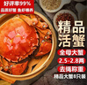 【活蟹】湖鮮陽(yáng)澄大閘蟹全母2.5-2.8兩6只去繩足重螃蟹海鮮過(guò)年送禮年貨禮盒裝源頭直發(fā) 曬單實(shí)拍圖