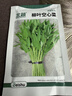 北蔬 空心菜種子苗柳葉青梗小竹葉蔬菜種籽 柳葉空心菜種子25g約500粒 曬單實(shí)拍圖