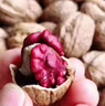 滇品客云南紅皮核桃2025年新貨原味薄皮紫紅衣紅米血核桃孕婦堅果小零食 【老品種】云南紅皮核桃500gx1袋（送夾子） 曬單實(shí)拍圖