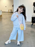 史努比女童套裝春季超好看2026新款兒童裝春秋薄款運動(dòng)服兩件套開(kāi)衫春裝 【開(kāi)衫衛衣套裝】淺藍 120 曬單實(shí)拍圖