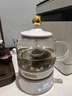 膳魔師（THERMOS） 迷你養生壺辦公室煮茶器電水壺恒溫電熱水壺玻璃花茶壺養生杯 禮物 七夕情人節禮物 EHA-1602E（奶油白） 0.55L 曬單實(shí)拍圖