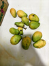 京喜加海南鮮芒果小臺水果芒果新鮮上市 帶箱2斤【單果70g+】 曬單實(shí)拍圖