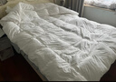 京東京造暖暖90%抗菌羽絨被 冬季被子被芯白鴨絨-子母被2.2*2.4m 曬單實(shí)拍圖