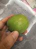 福建大青棗牛奶青棗脆甜冬棗新鮮水果清甜脆爽應季蜜棗冬棗現摘 帶箱5斤中果 單果50-80g 曬單實(shí)拍圖
