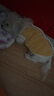 VOXCAE貓咪狗狗寵物衣服小型幼貓犬加厚加絨保暖衣服冬季寵物保暖衣服飾 【黃色】可愛(ài)小熊絨絨衣 【M碼】建議體重4-6斤 曬單實(shí)拍圖