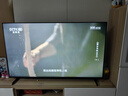 海爾（Haier）電視75英寸國家補貼智能高清4K電視機165HZ彩電超薄護眼以舊換新一級能效 55英寸 3+32G內存 8核CPU 咨詢(xún)客服享優(yōu)惠 曬單實(shí)拍圖