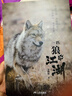 一匹狼的江湖 重返狼群背后的故事原著(zhù)正版  青少年兒童文學(xué) 長(cháng)篇小說(shuō) 動(dòng)物小說(shuō)重返狼群作者李微漪  曬單實(shí)拍圖