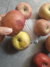 京喜加阿克蘇冰糖心蘋(píng)果 精品大果 脆甜無(wú)渣 產(chǎn)地直發(fā)新鮮蘋(píng)果水果 【帶箱9斤】70-80mm【實(shí)惠爽口】 曬單實(shí)拍圖