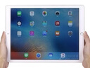Apple蘋(píng)果ipad mini2/3/4/5/6/7二手平板電腦 以質(zhì)檢報告為準 iPad mini3 曬單實(shí)拍圖