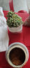 多肉小盆栽仙人球綠植帶盆辦公室桌面室內植物名貴仙人掌幼兒園禮 洛可可+D117盆（送鋪面石+肥料+土） 曬單實(shí)拍圖