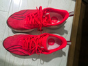 李寧赤兔9PRO 馬年丨跑步鞋男透氣體測專(zhuān)業(yè)減震競速訓練運動(dòng)鞋ARPW001 曬單實(shí)拍圖