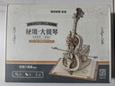 若客（ROKR）大提琴防塵罩套裝 diy手工積木拼圖拼裝模型生日禮物 曬單實(shí)拍圖