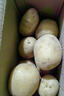 【東東農場(chǎng)專(zhuān)供】25年山東新鮮土豆黃心黃皮馬鈴薯黃心土豆蔬菜 黃皮黃心土豆 2斤 凈重 中大果 曬單實(shí)拍圖