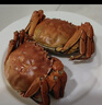 【活蟹】湖鮮陽(yáng)澄大閘蟹公3.8-4.1兩 母2.8-3.1兩4對8只去繩足重年貨送禮螃蟹禮盒海鮮 曬單實(shí)拍圖