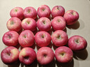 靜寧蘋(píng)果 【順豐到家】甘肅紅富士蘋(píng)果水果 新鮮應季靜寧蘋(píng)果 17-18枚80大果凈重8.5斤嚴選裝 曬單實(shí)拍圖