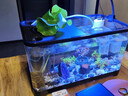 錦繡百年（JINXIUBAINIAN）魚(yú)缸一體缸生態(tài)魚(yú)缸客廳桌面底濾魚(yú)缸免換水小金魚(yú)溪流缸水族箱 【特大號】菠蘿屋豪華全配款 曬單實(shí)拍圖