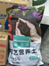 漫生活進(jìn)口營(yíng)養土3L通用有機種菜土養花土園藝綠植花卉綠蘿盆栽基質(zhì)土壤 曬單實(shí)拍圖