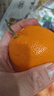 京覓四川春見(jiàn)耙耙柑粑粑柑凈重8斤單果70mm+年貨生鮮水果源頭直發(fā)包郵 曬單實(shí)拍圖