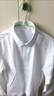 南極人襯衫男純色長(cháng)袖商務(wù)襯衫男士棉質(zhì)舒適襯衣外套修身白襯衫男2XL 曬單實(shí)拍圖