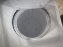 榮事達（Royalstar）半自動(dòng)洗衣機14KG雙杠雙筒家用宿舍出租房毛毯洗  XPB140-995PHR 曬單實(shí)拍圖