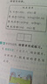 2026小學(xué)必刷題 語(yǔ)文二年級下冊 人教版 教材全解同步天天練 學(xué)霸課后練習一本全 理想樹(shù) 曬單實(shí)拍圖