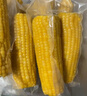 十月稻田 黃糯玉米3.52斤+白糯玉米4.16斤 早餐粗糧 曬單實(shí)拍圖