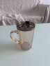 云勉水杯玻璃杯子高顏值情侶馬克杯咖啡牛奶茶杯吸管水杯燕麥杯飲料杯 咖色 450ml 曬單實(shí)拍圖