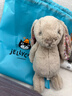 Jellycat花布邦尼兔動(dòng)物毛絨玩偶兔子玩偶兒童娃娃送禮三八節女神生日禮物 派朵爾（米色） Medium 曬單實(shí)拍圖