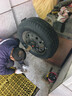 玲瓏輪胎輕卡輪胎175/70R14LT 95/93S LMA16 適配捷達/桑塔納 曬單實(shí)拍圖