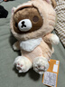 X11 SPACE【現貨】輕松小熊毛絨玩具娃娃 節日公仔生日禮物女生周邊 輕松小熊·茶小熊小貓造型坐姿玩偶中號 曬單實(shí)拍圖