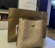 蔻馳（COACH）【品牌直供】奢侈品女包MOLLIE手提斜挎水桶包 CBQ33生日禮物 曬單實(shí)拍圖