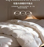鴨鴨（YAYA）【小雪花系列】暖暖大白鵝被子被芯雙人秋冬棉被200*230cm約6.5斤 曬單實(shí)拍圖
