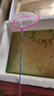 魚(yú)缸撈魚(yú)網(wǎng)兜金魚(yú)撈網(wǎng)魚(yú)網(wǎng)家用小迷你抄網(wǎng)水族手抄網(wǎng)超密觀(guān)賞魚(yú)撈 撈魚(yú)網(wǎng)【中號】顏色隨機 2個(gè) 曬單實(shí)拍圖