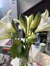 鐵炮百合白色9朵（3-4支花苞發(fā)貨） 曬單實(shí)拍圖