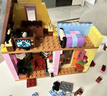樂(lè )高（LEGO）積木迪士尼43217 飛屋環(huán)游記女孩女生玩具生日新年情人節禮物裝飾 曬單實(shí)拍圖