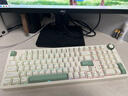 貝戔馬戶(hù)賤驢RS2 4.0機械鍵盤(pán) 三模無(wú)線(xiàn)辦公游戲鍵盤(pán) Gasket Pro客制化鍵盤(pán)  QMK/VIA開(kāi)源改鍵 無(wú)感延遲 奶綠-凱華知秋軸RGB 三模凱華 99鍵 曬單實(shí)拍圖