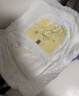 布班迪傾芯柔嬰兒學(xué)步褲XXXL64片超薄干爽透氣拉拉褲男女寶寶通用尿不濕 曬單實(shí)拍圖