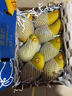 橙小士正宗海南三亞金煌芒果樹(shù)上熟核小水仙黃金大芒果新鮮水果禮盒整箱 9.5-10斤精選大果【單果1斤+】?jì)艄?斤 曬單實(shí)拍圖