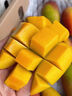 吉果叔 海南貴妃芒果 新鮮水果應當季時(shí)令現摘紅金玉青甜心小芒果 整箱 凈重4.5-5斤【中大果】單果150-200g 曬單實(shí)拍圖