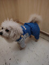 阿莫爾狗狗衣服可牽引寵物四腳衣春夏泰迪比熊博美雪納瑞小型幼犬背帶褲 藍色 XS 建議1-3斤  背長(cháng)20cm 曬單實(shí)拍圖