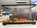 獨寵你魚(yú)缸懶人魚(yú)缸家用客廳辦公室金魚(yú)缸過(guò)濾魚(yú)缸【黑色中號】 曬單實(shí)拍圖