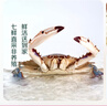 鮮活紅膏梭子蟹 150-200g/只 曬單實(shí)拍圖