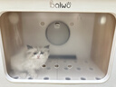 baiwo百我寵物烘干箱狗狗烘干機中小型犬全自動(dòng)洗澡吹毛吹風(fēng)吹水神器 BW12 Pro 80L【30斤內適用】 曬單實(shí)拍圖